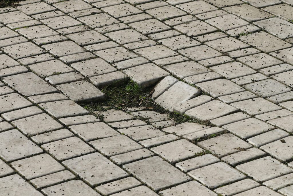 A damaged section of pavement with missing bricks