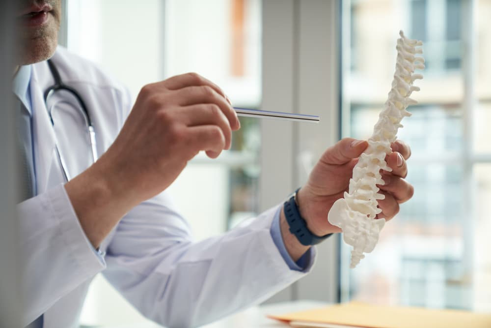 Medical specialist holding a human spine pointing to one of its segments with a metal stick.